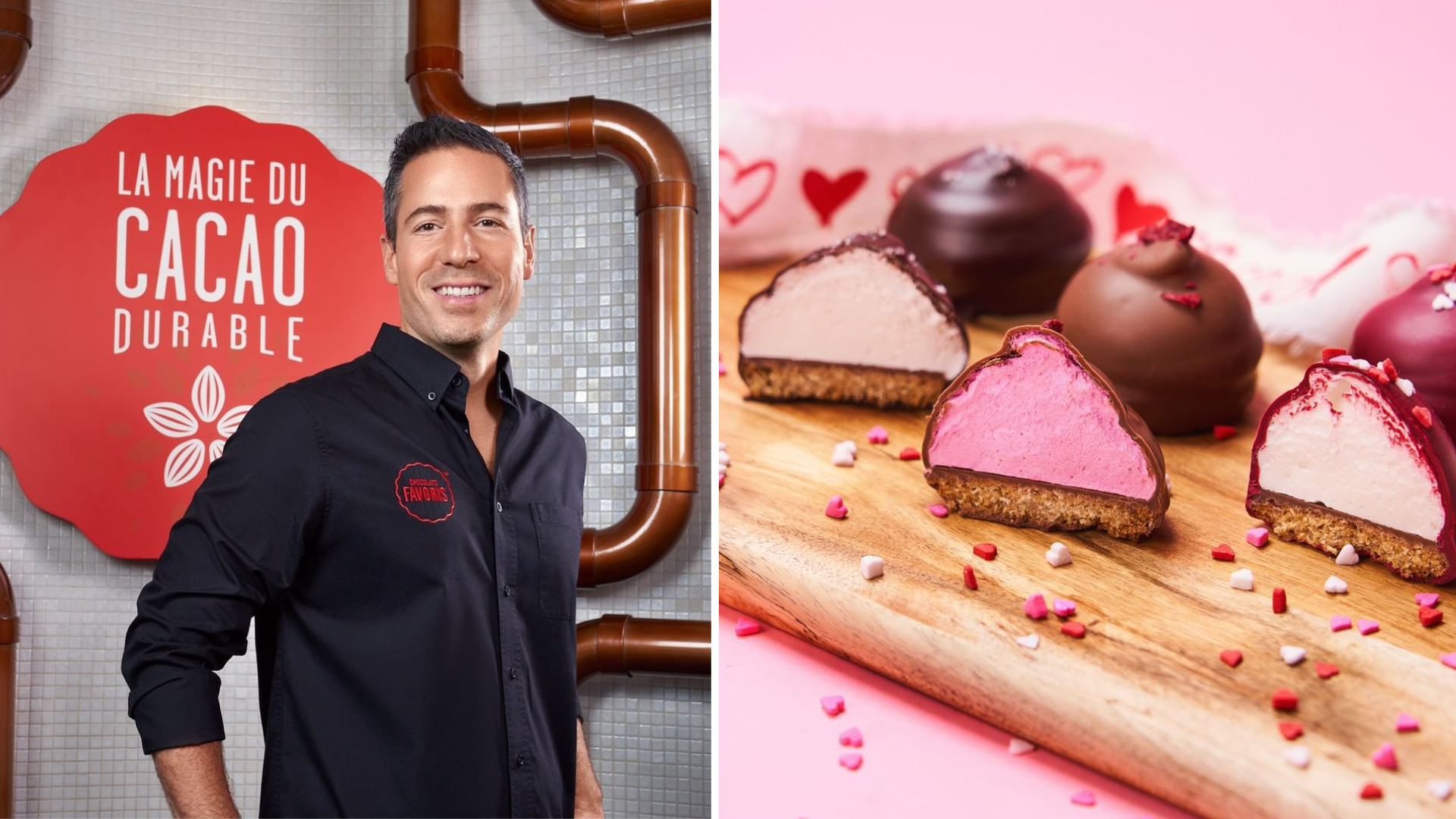 Tout ce qui se trouve dans une succursale Chocolats Favoris