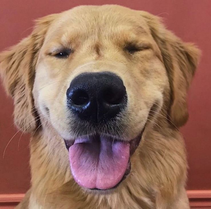 Un sourire qui vaut tout l'or du monde