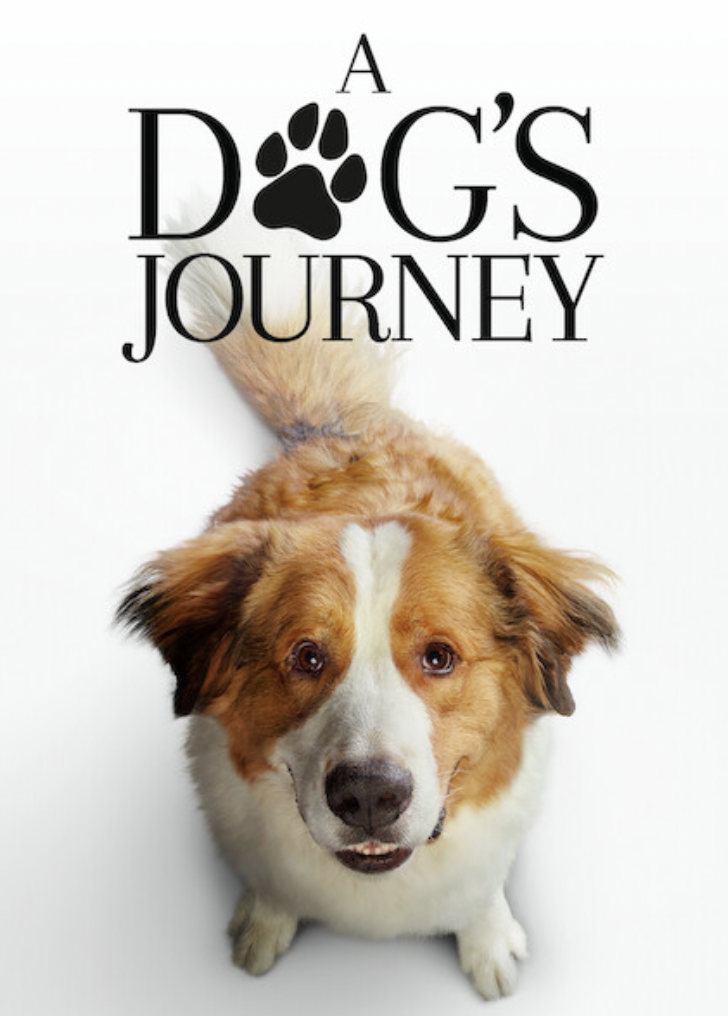 A Dog's Journey
