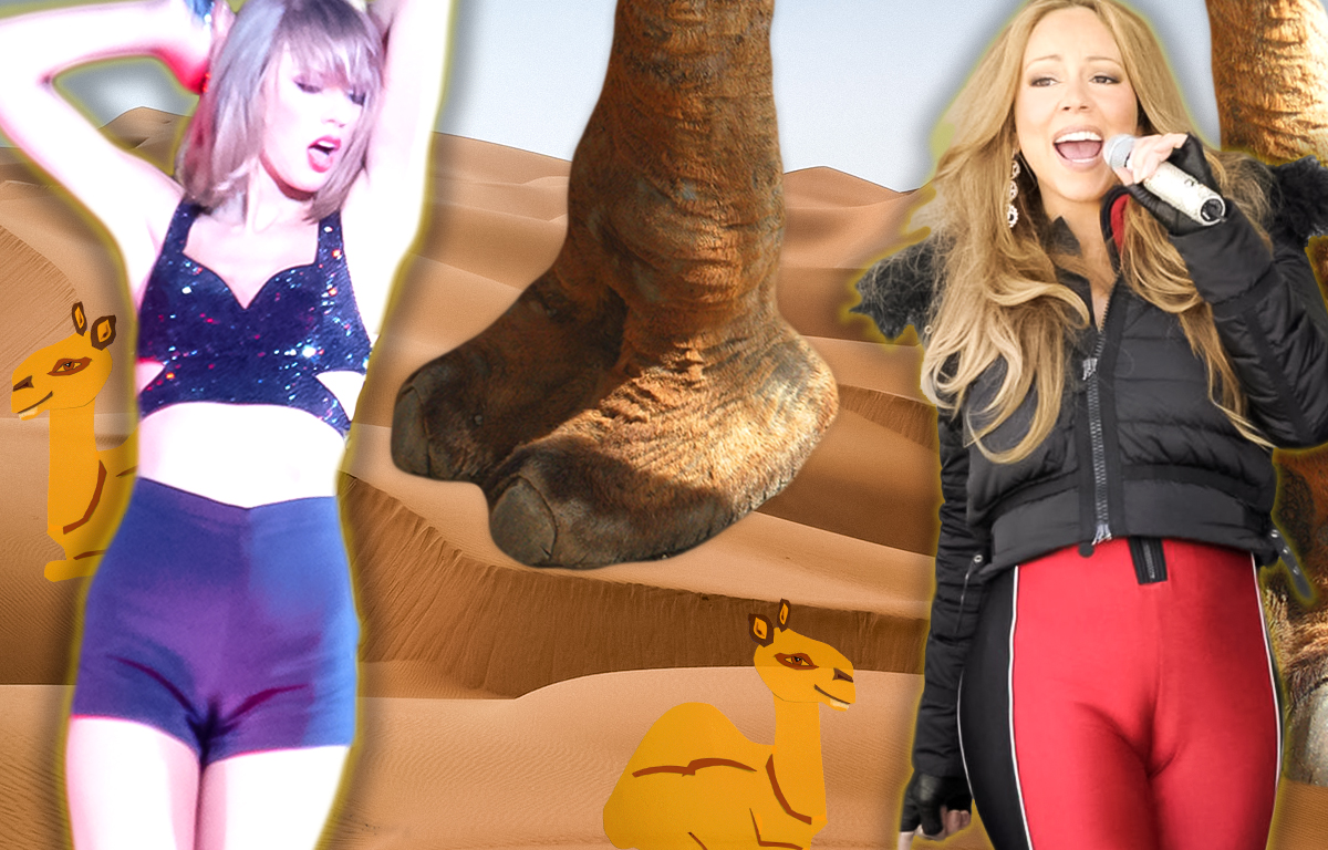 Top 25 - Les meilleurs camel toe de stars - Hollywoodpq.com