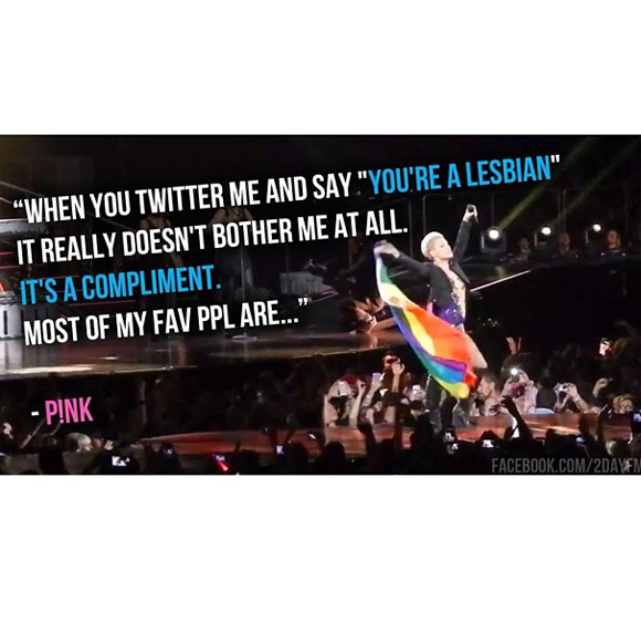 P!nk brandit le drapeau gai sur scène, se fait traiter de lesbienne et le prend comme un compliment