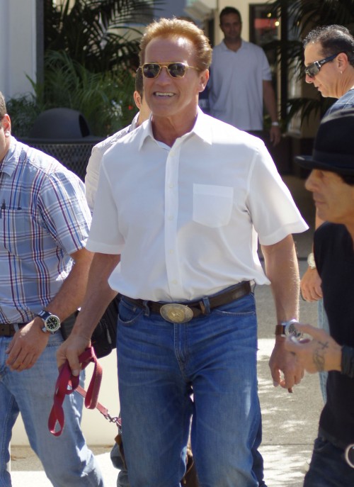 Une demande de divorce officielle pour Arnold Schwarzenegger