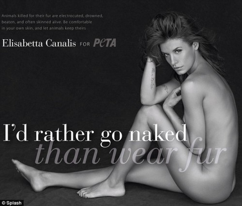 HOT or NOT?: Elisabetta Canalis dans la nouvelle pub de PETA