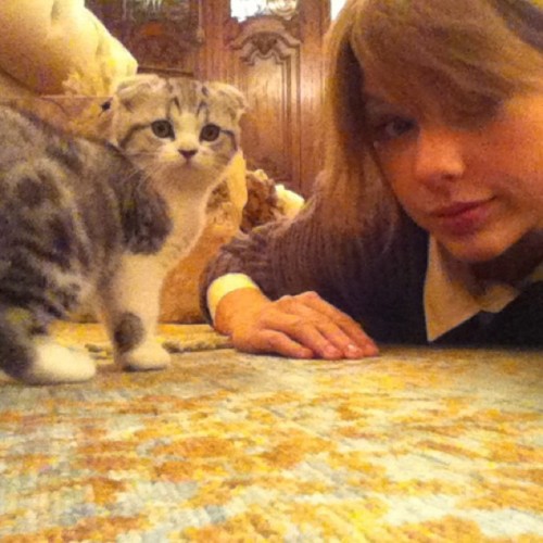 Taylor Swift, la cat lAdy