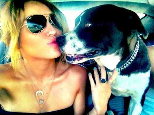 Miley adopte un nouveau chien - Mary Jane