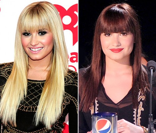 Demi Lovato est redevenue brunette - HOT or NOT