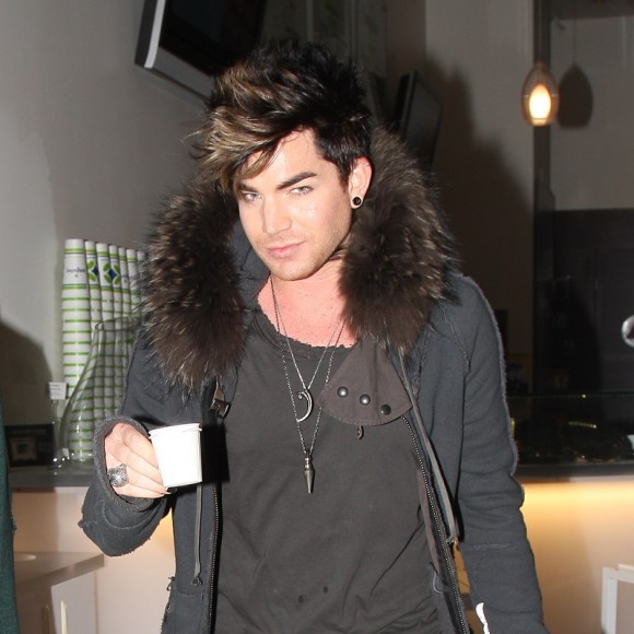 Adam Lambert fréquenterait le mannequin Murray Swanby