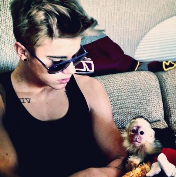 Justin Bieber se fait confisquer son singe Mally à la douane allemande