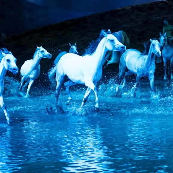 Odysséo de Cavalia - Toujours aussi magique