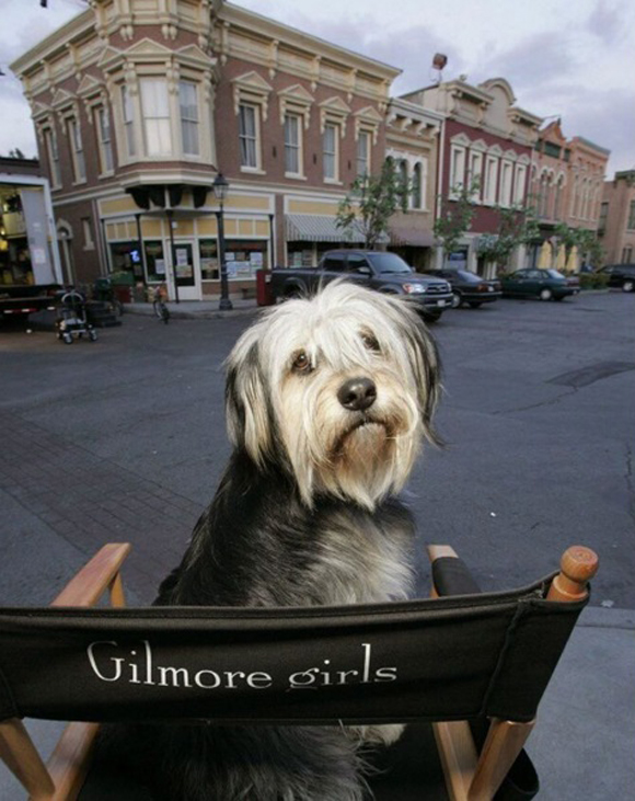 Le tournage de la réunion de Gilmore Girls: Seasons se termine le 7 mai - PHOTOS