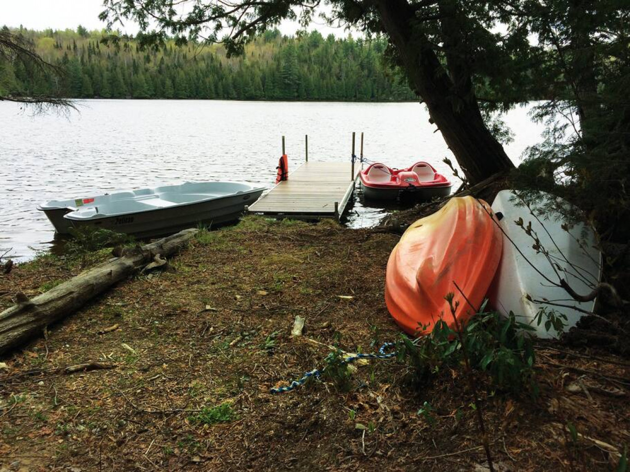 Bord de l'eau